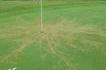 Ce trou d'un parcours de golf a été frappé par la foudre