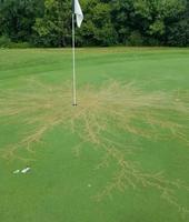 Ce trou d'un parcours de golf a été frappé par la foudre