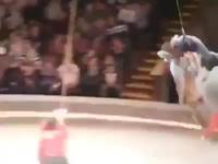 Pendant ce temps là au cirque 