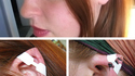 Oreilles d'elfe