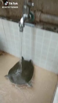 Tractions sans les mains