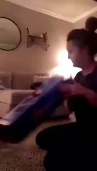 Les chats et les cartons