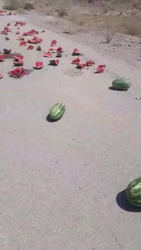 Et paf ! Pastèques !