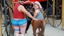 culotte de cheval