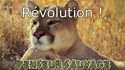 La révolution française en moins de 30 minutes.