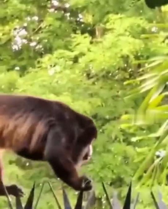 Allégorie de l'anxiété