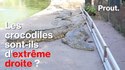 Prout. Les crocodiles sont-ils d'extrême-droite ?