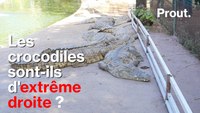 Prout. Les crocodiles sont-ils d'extrême-droite ?