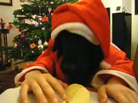 Père Noël canin