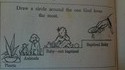 Exercice théologique