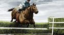 Gros cheval