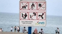 Une plage a déjà tout compris