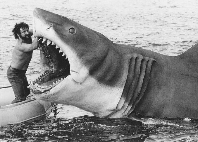 EN 1975 pour JAWS