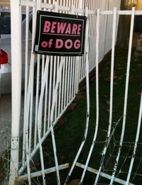 Attention au chien