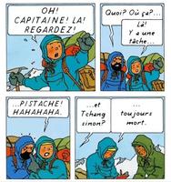 Tintin revisité 