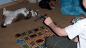 Yu-Gi-Oh avec le chat