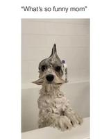 Qu’est ce qu’elle a ma gueule ?