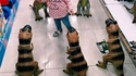 L'enfant et les dinosaures