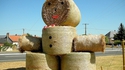 L'homme de paille