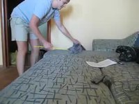 Chat chasseur de règle