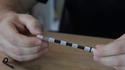 The stylo
