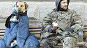 Chien chaud