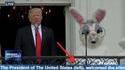 Le stagiaire des sous-titres ne va pas faire long feu