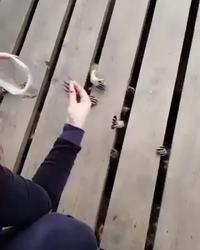 Nourrir ses esclaves dans la cave