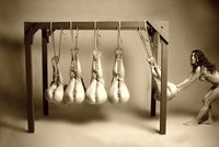 Pendule de Newton