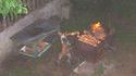 Chipeur le renard