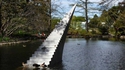 Escalier pour le paradis des canards