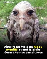 La reprise du boulot s'est bien passé ? ...