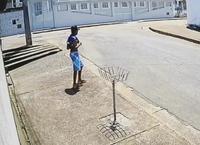 Un amoureux des chiens
