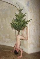 Si, cette année, vous avez un problème pour positionner votre arbre de Noël...