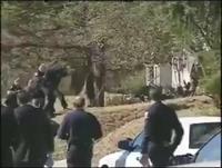 Une ia ne peux pas faire ça 