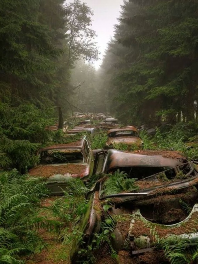 De nombreuses voitures abandonnées par les troupes US pendant la seconde guerre mondiale. Près de Châtillon, dans le sud de la Belgique.
En savoir plus : http://www.amusingplanet.com/2012/12/chatillon-car-graveyard-in-belgium.html