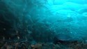 Sous la glace
