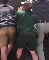 Faut pas pousser l’éléphant dans les orties 
