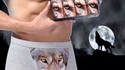Boxer loup