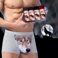 Boxer loup
