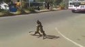 JiuJitsu Lézard