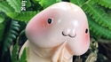 Coucou, tu veux voir l'esprit de la forêt ?