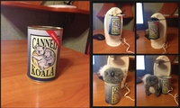 Koala en boite