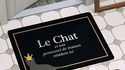 Un paillasson pour Thiche
