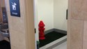 Toilettes canines