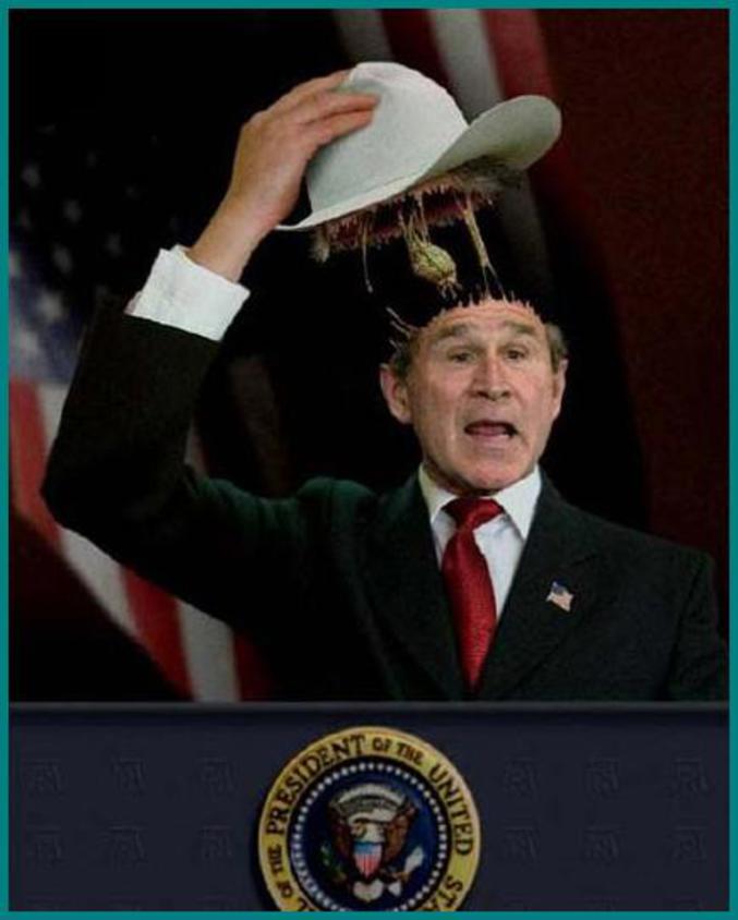 Le chapeau de Bush.