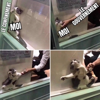 Bientôt le déconfinement