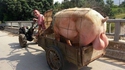 Transporc
