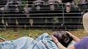 Le 25 Septembre 2018, une femelle chimpanzé(e), Dorothy, est morte...