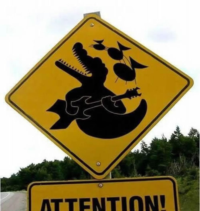 Attention aux crocodiles rockeurs